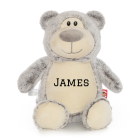 Cubbies Teddy Bear - Gray - with Personalization